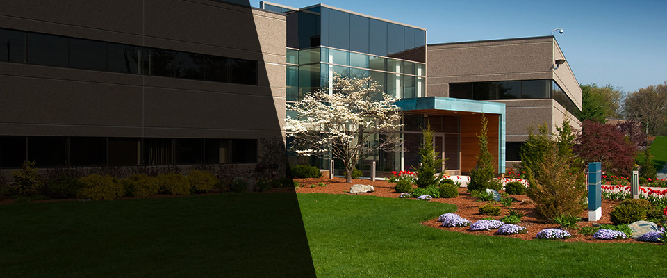 Ponchatoula Landscapers