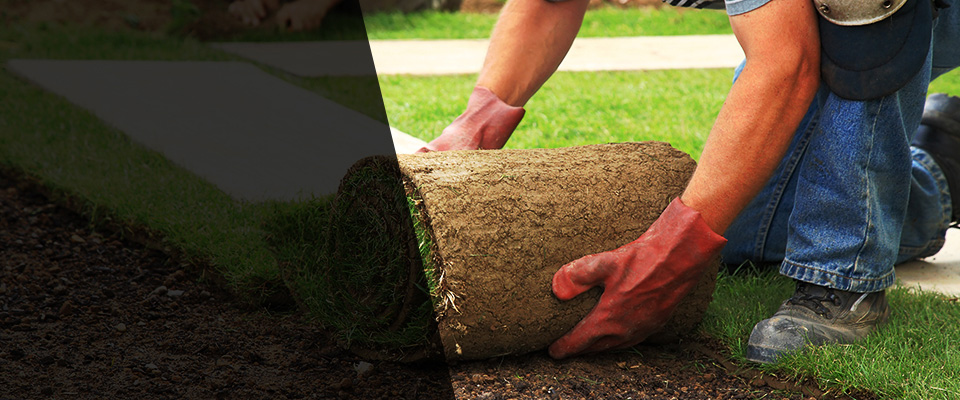 Ponchatoula Landscapers